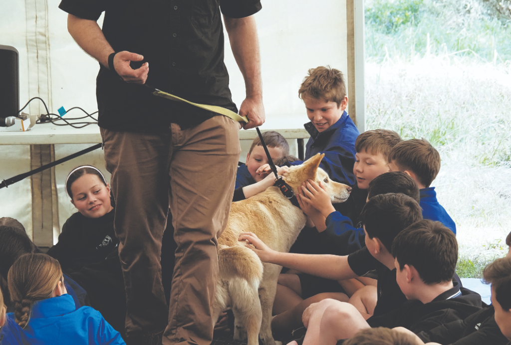 Kids Teaching Kids at the Yea Wetlands