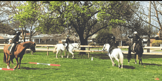 September rally brings fun and excitement to pony club